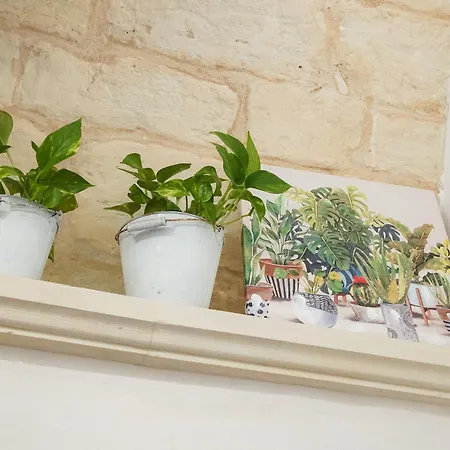 Terra Maris Appartement